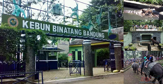 Kebun Binatang Bandung