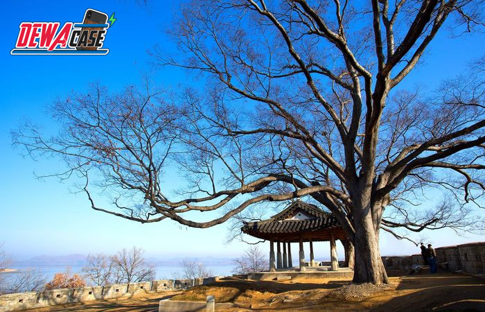 5 Tempat Wisata yang Wajib Dikunjungi di Pulau Ganghwado, Korea Selatan